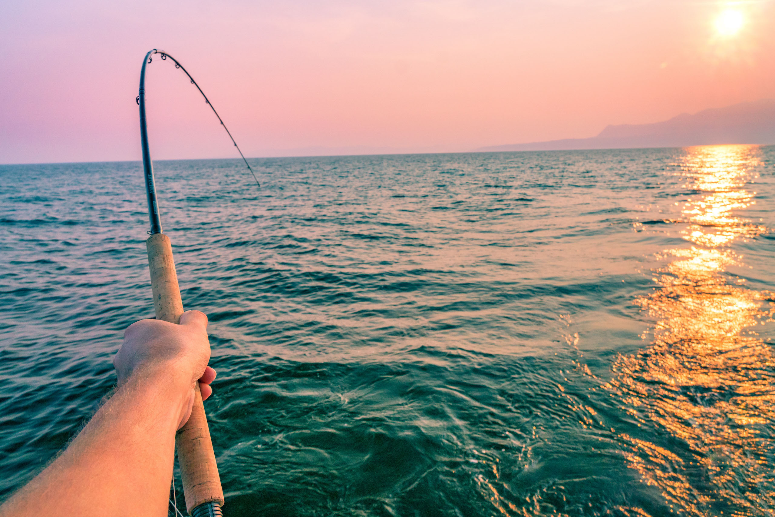 taught fishing line