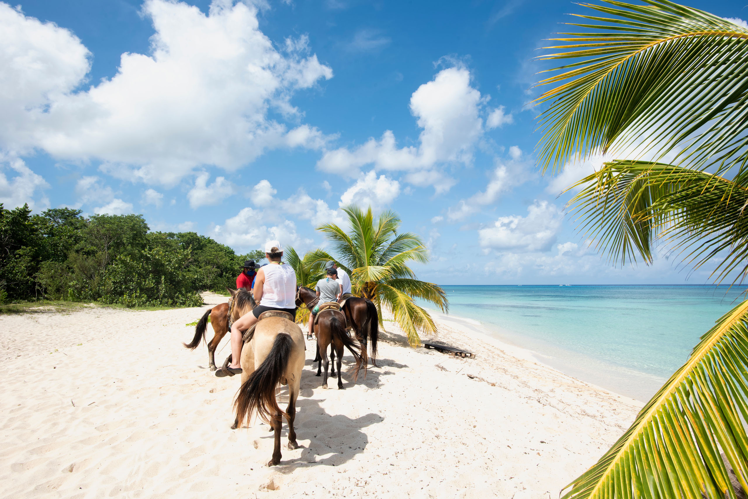 People on horseback in a tropical beach