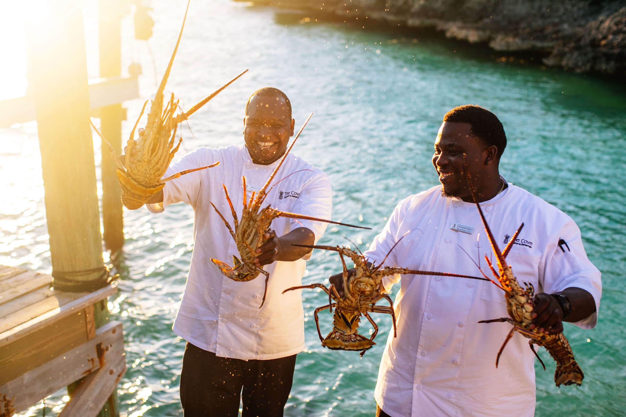 catching lobsters